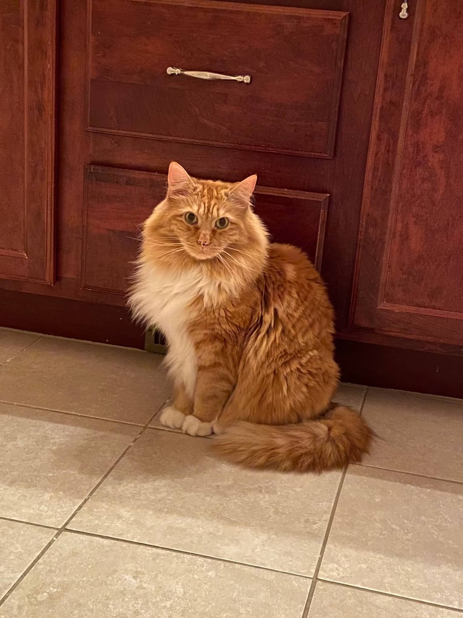 Jasper